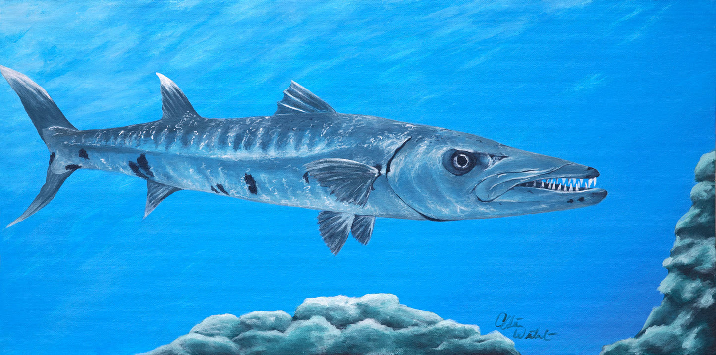 Ready and Waiting: Original Barracuda Art